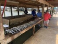 185807529_3827080134007589_7012225181956043835_n.jpg 185807529_3827080134007589_7012225181956043835_n.jpg